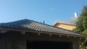 20161031_141706 (Medium)